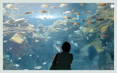 Heraklion Car Rental, Cretaquarium